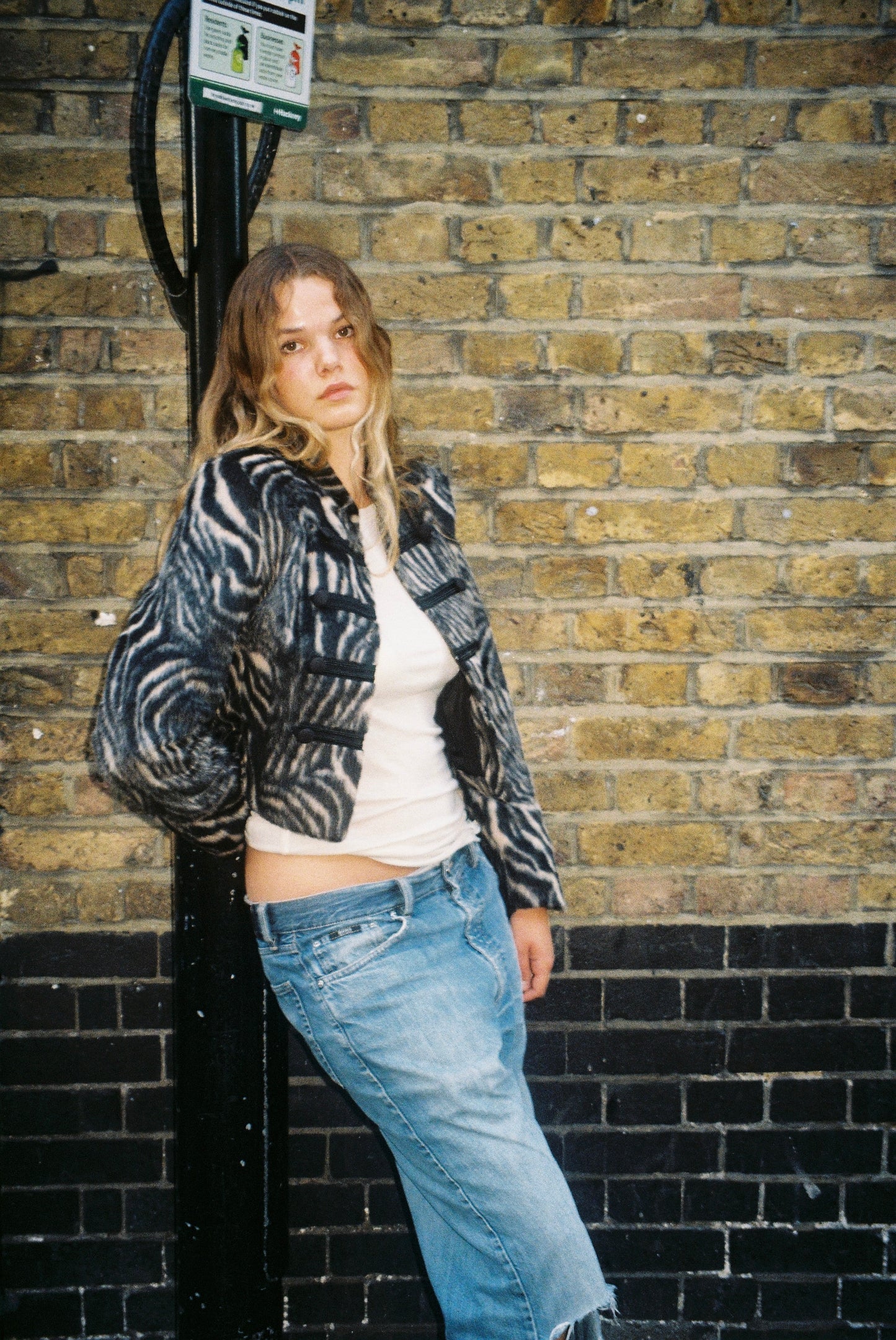 THE ROMY JACKET - ZEBRA